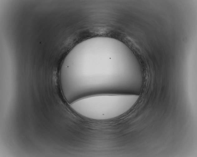 X0000108480612200904031121