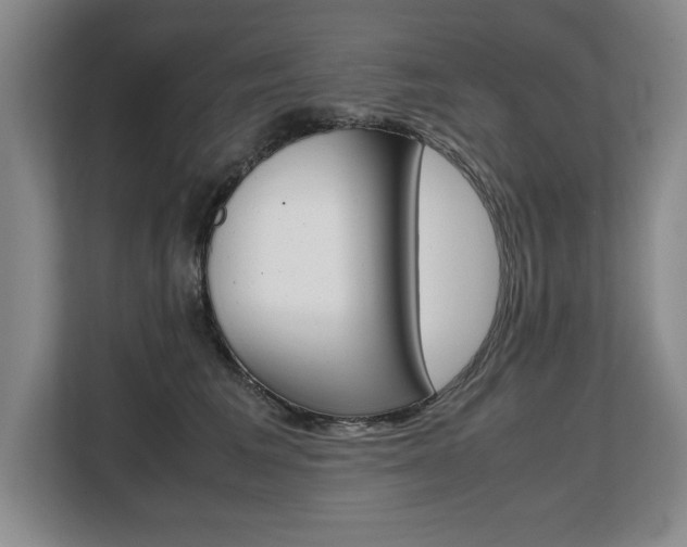 X0000108480613200904031121