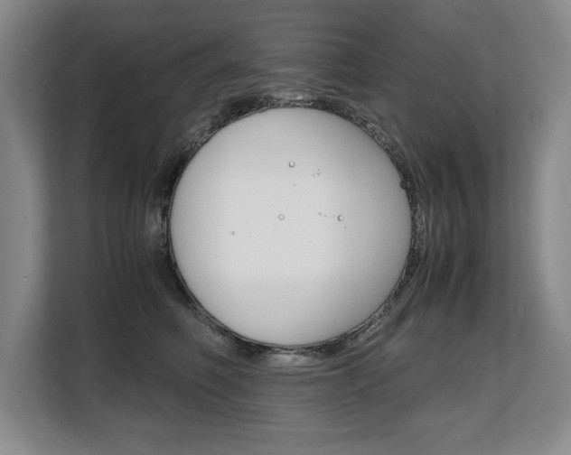 X0000108480614200904031121