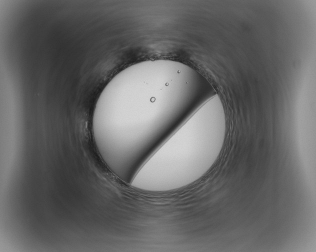 X0000108480615200904031121