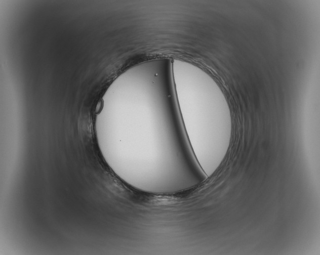 X0000108480617200904031121