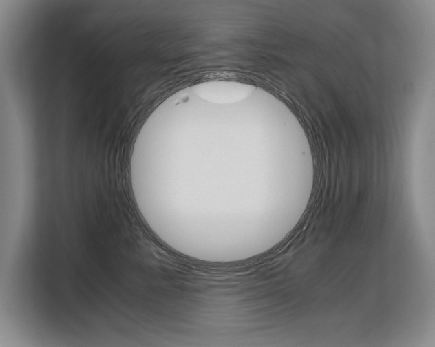 X0000108480619200904031121