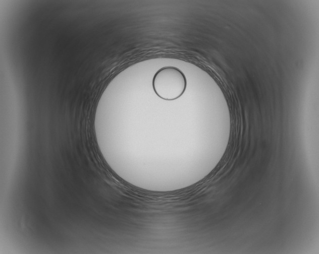 X0000108480621200904031121