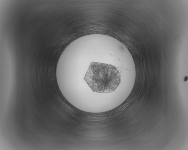 X0000108480622200904031121