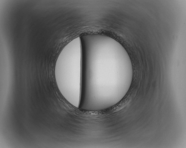 X0000108480624200904031121