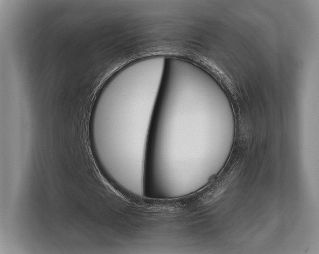 X0000108480625200904031120