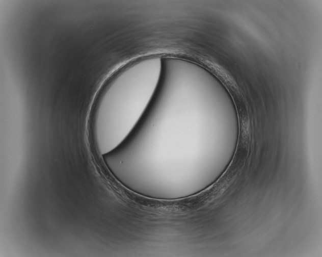 X0000108480628200904031120