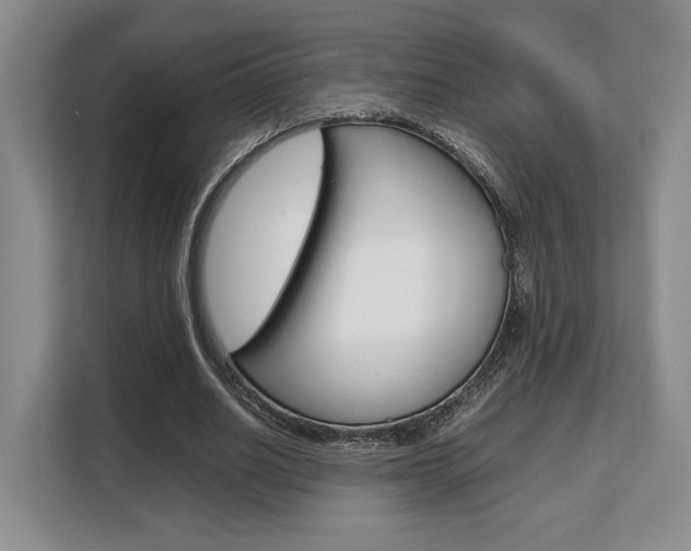 X0000108480630200904031120