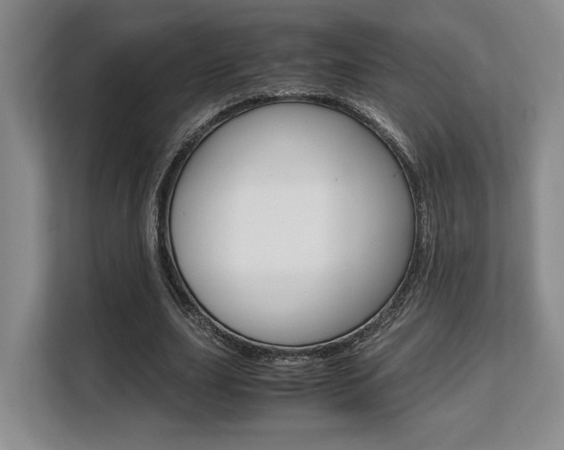 X0000108480631200904031120