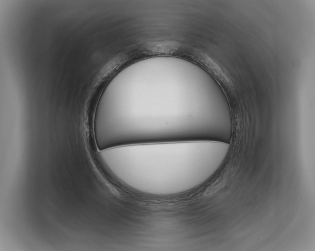X0000108480634200904031120
