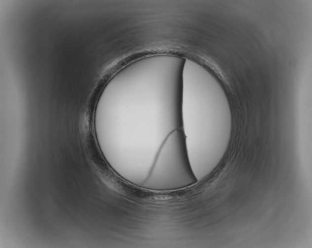X0000108480636200904031120