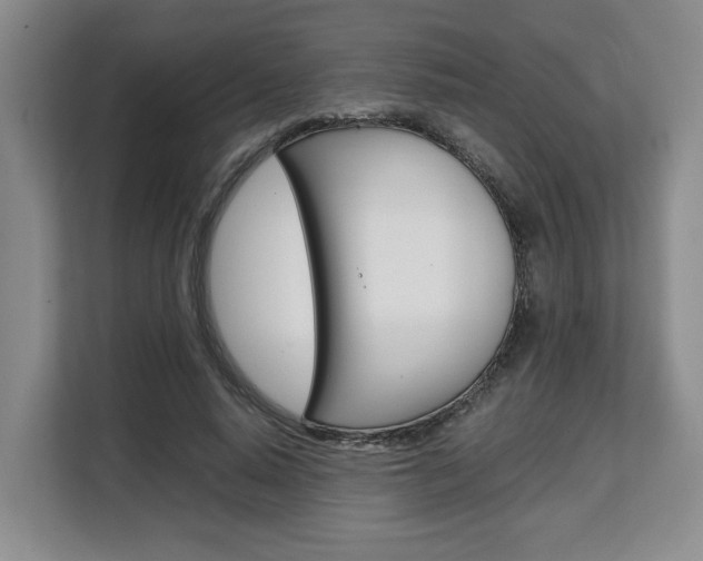 X0000108480640200904031120