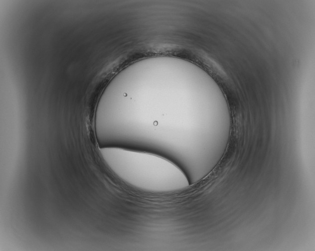 X0000108480644200904031120
