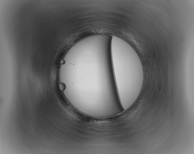 X0000108480645200904031120