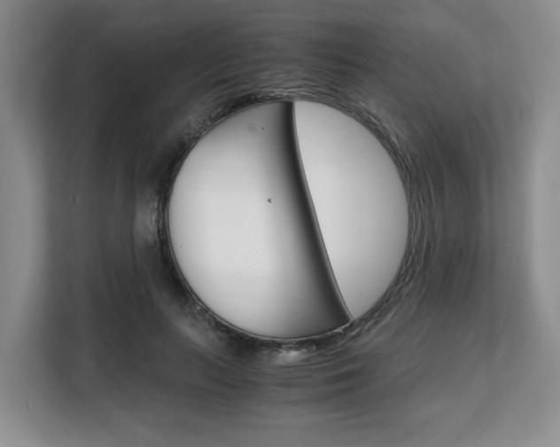 X0000108480647200904031120