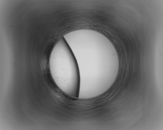 X0000108480651200904031120