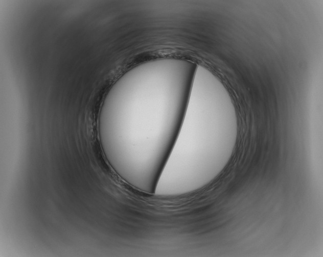 X0000108480653200904031120