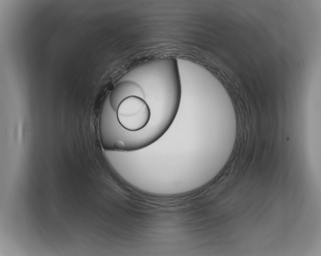 X0000108480654200904031120