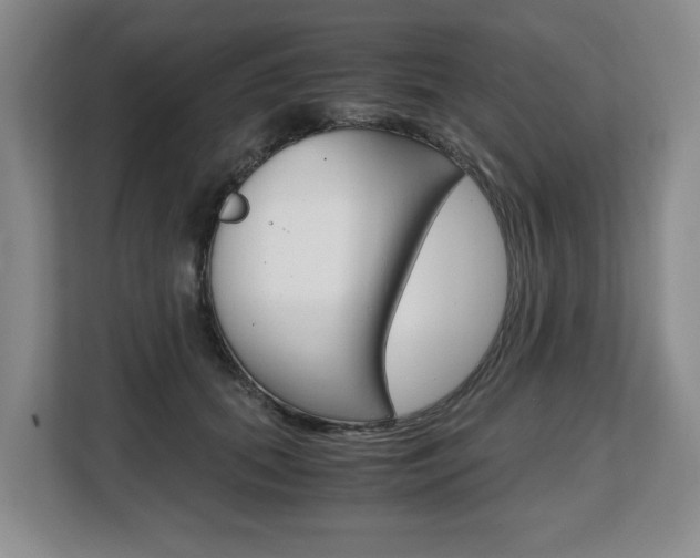 X0000108480655200904031120