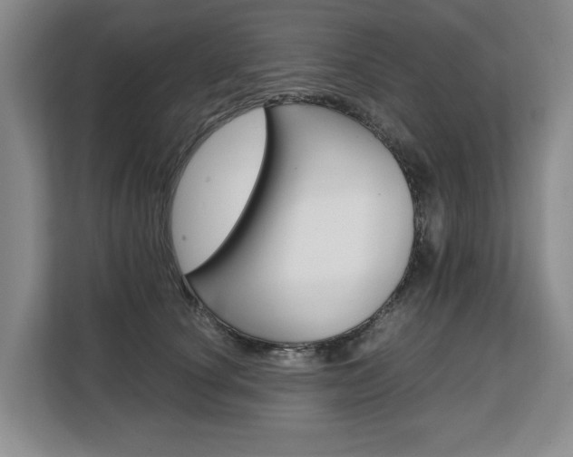 X0000108480660200904031120