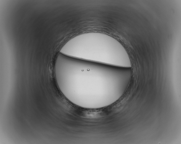X0000108480661200904031120