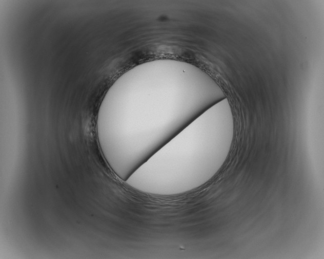 X0000108480663200904031120
