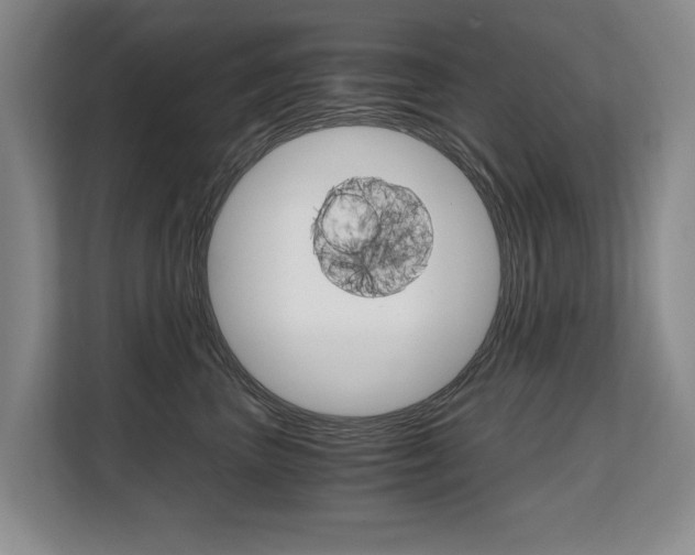 X0000108480667200904031120