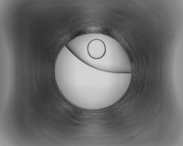 X0000108480668200904031120