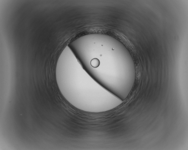 X0000108480669200904031120