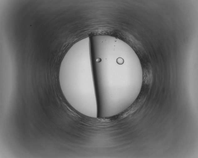 X0000108480670200904031120