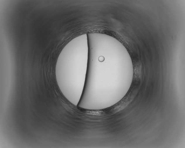 X0000108480671200904031120