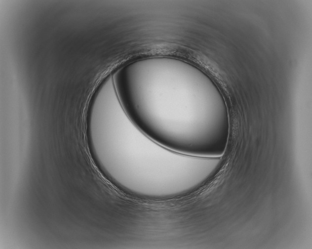 X0000108480673200904031120