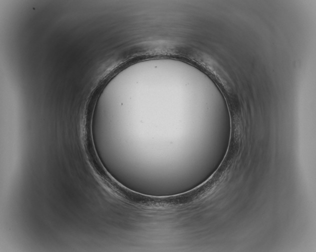 X0000108480677200904031120