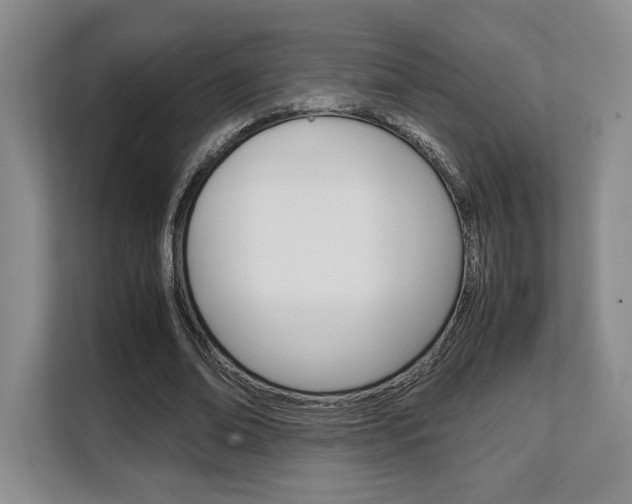 X0000108480678200904031120