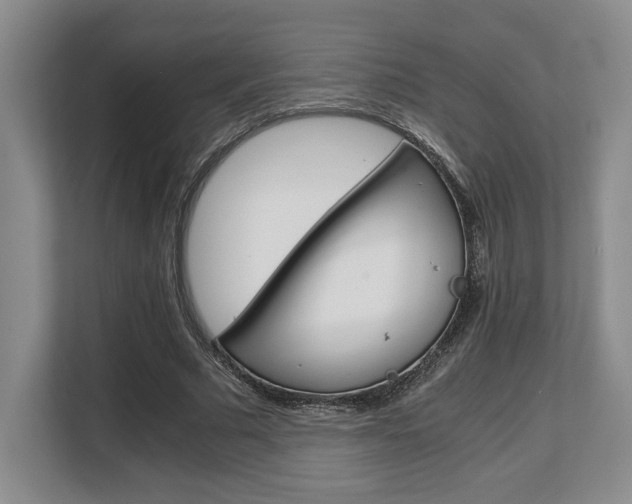 X0000108480681200904031120