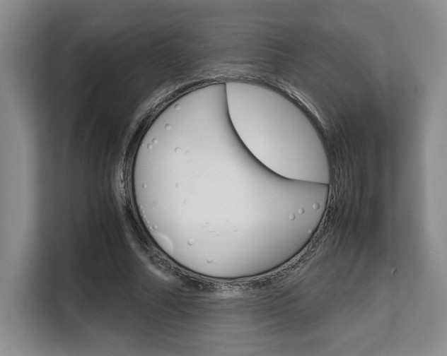 X0000108480682200904031120