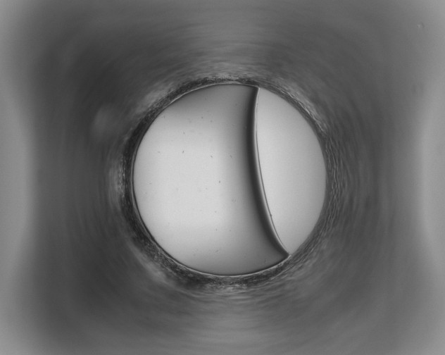 X0000108480683200904031120