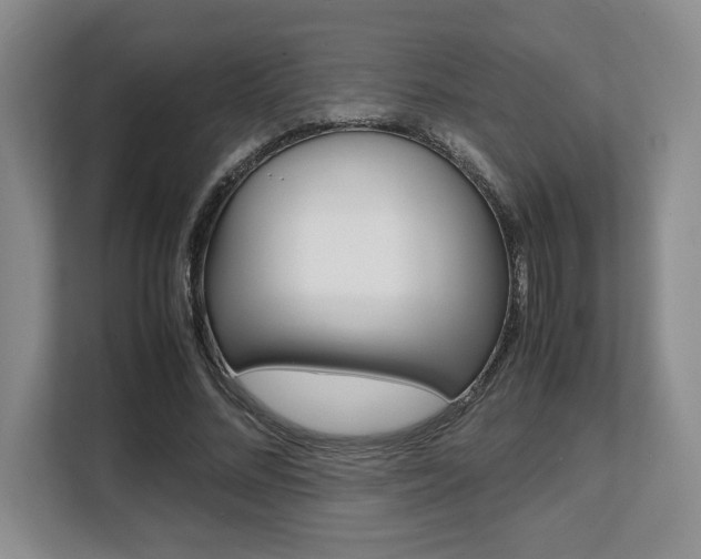 X0000108480684200904031120