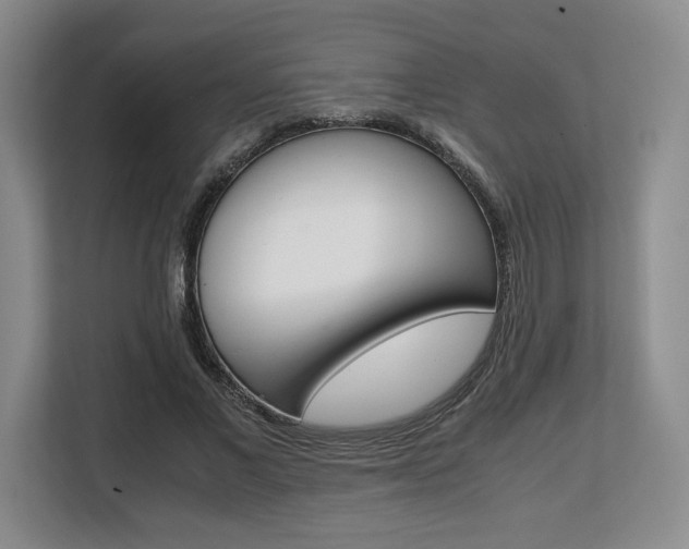 X0000108480685200904031120