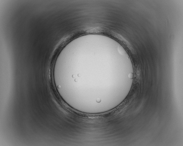 X0000108480686200904031120