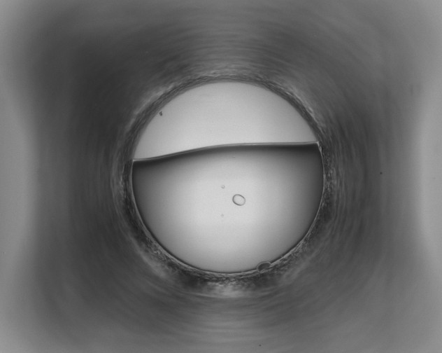 X0000108480688200904031120