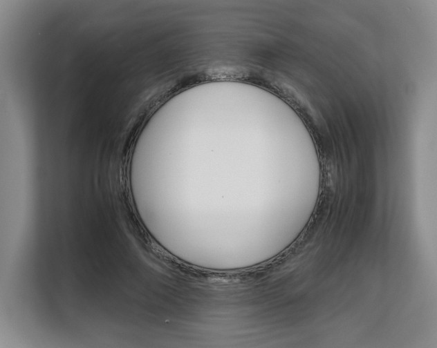 X0000108480690200904031120