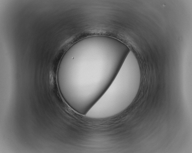 X0000108480692200904031120