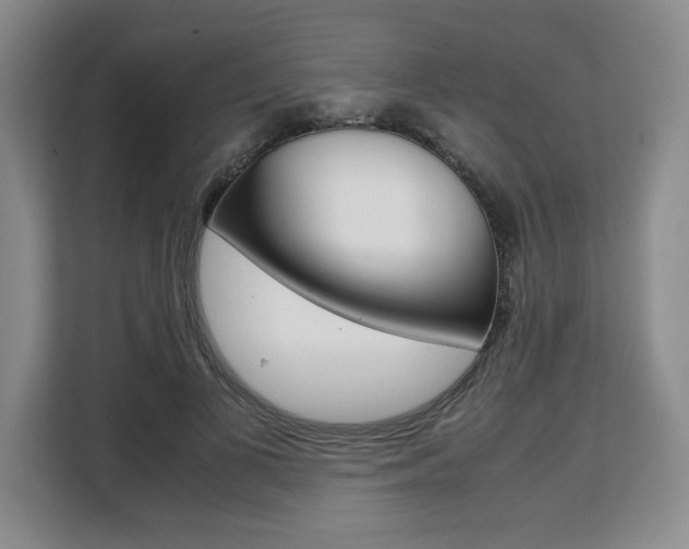 X0000108480693200904031120