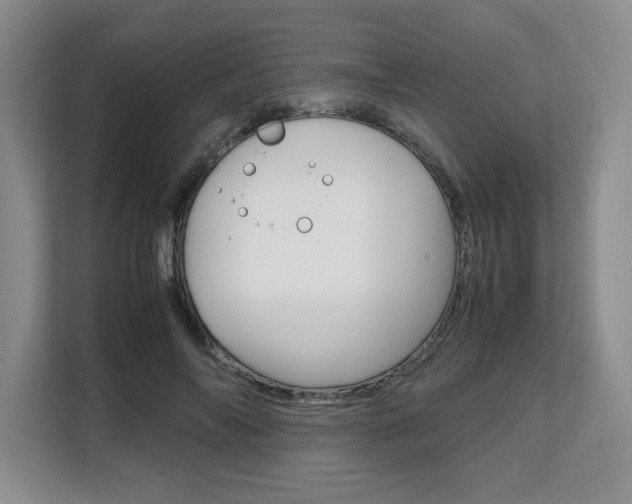 X0000108480694200904031120
