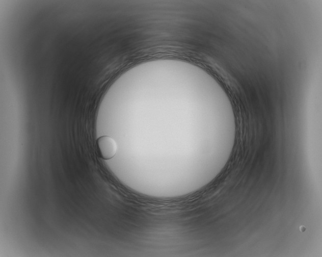 X0000108480696200904031120