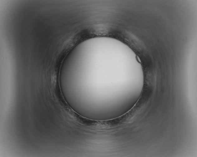 X0000108480697200904031120