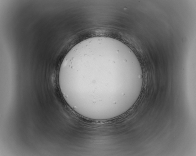 X0000108480698200904031120