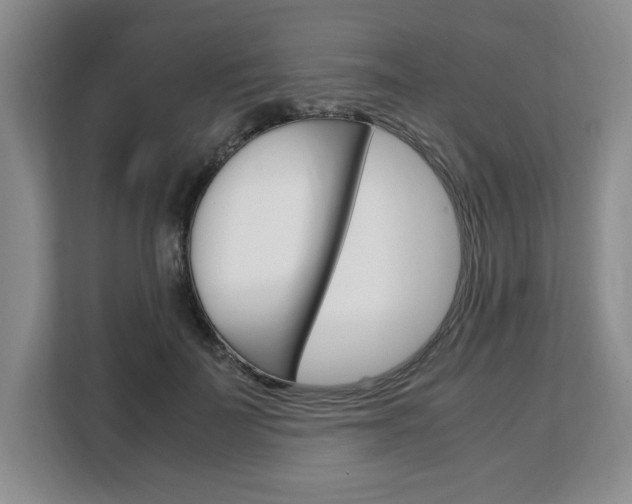 X0000108480699200904031120