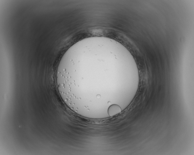 X0000108480702200904031119